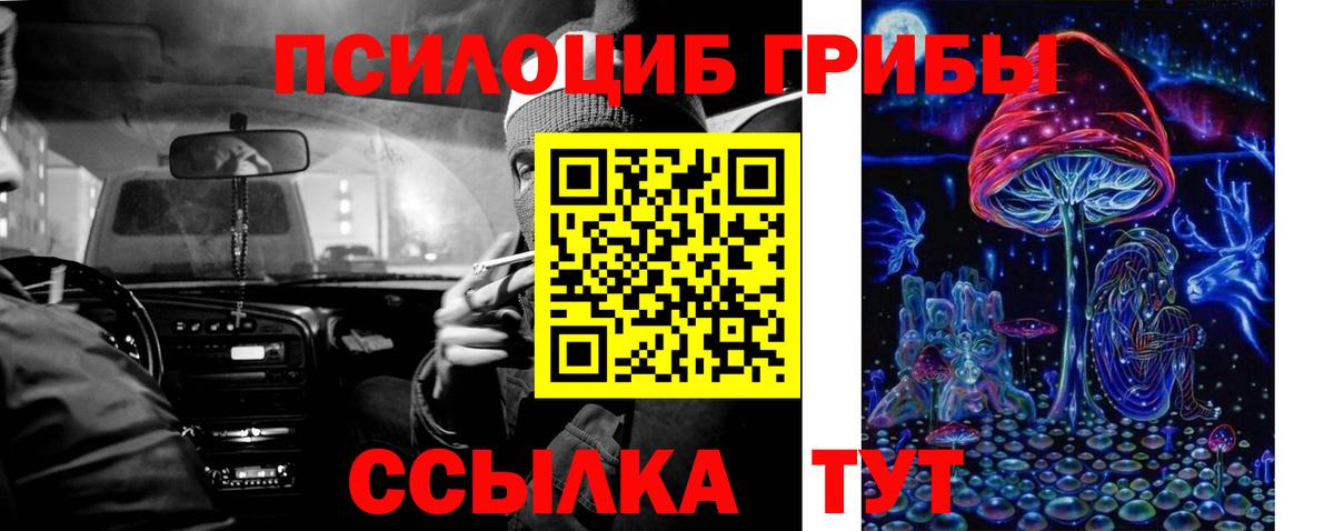 Псилоцибиновые грибы мицелий Грязи