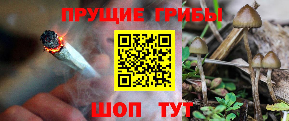 Галлюциногенные грибы ЛСД  Вход с VPN  Псилоцибиновые грибы Psilocybe  продажа наркотиков  Грязи 